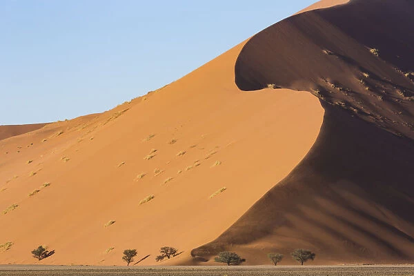 Wind sculpted, towering sand dunes of Sossusvlei in Namib-Naukluft National Park, Namibia
