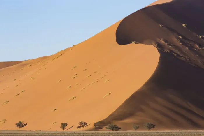 Framed Print : Wind sculpted, towering sand dunes of Sossusvlei in Namib-Naukluft National Park, Namibia Framed Print : Wind sculpted, towering sand dunes of Sossusvlei in Namib-Naukluft National Park, Namibia