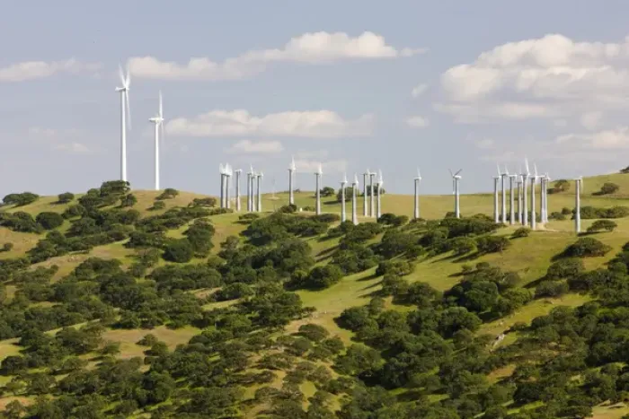 Framed Print : Wind turbines above a California Oak forest in the hills of California