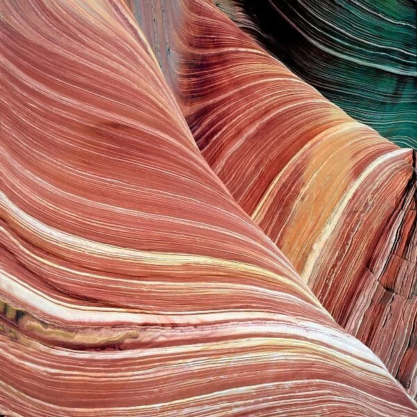 Wind and water eroded Navajo sandstone in Coyote Buttes North, Paria Canyon Vermillion