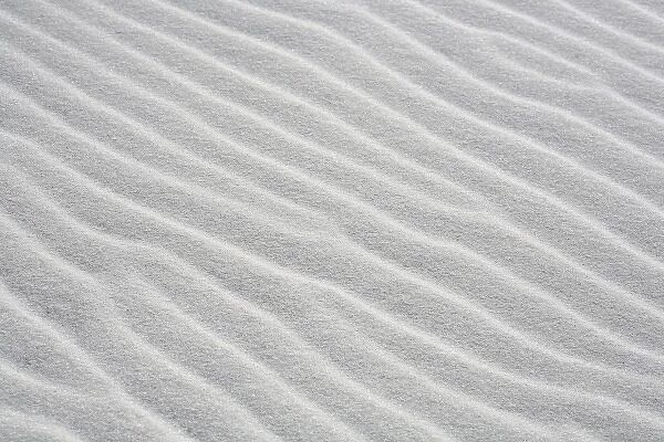 windblown sandy beach, Destin, Florida, USA
