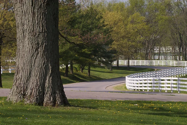 Winding fences, Kentucky Horse Park, Lexington, Kentucky