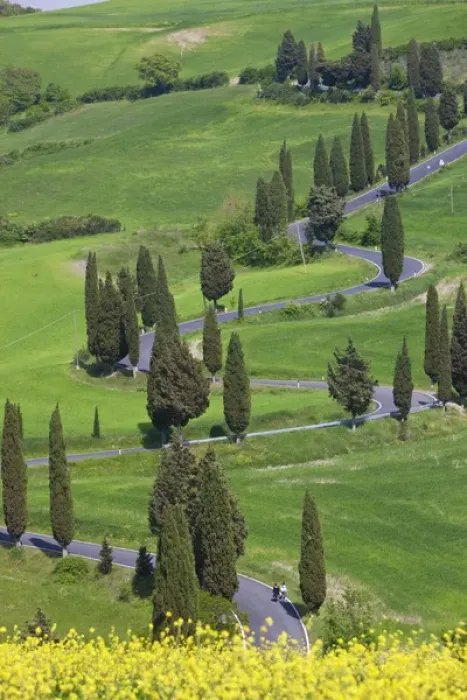 Framed Print : Winding Road, Monticchiello, Tuscany, Italy Framed Print : Winding Road, Monticchiello, Tuscany, Italy