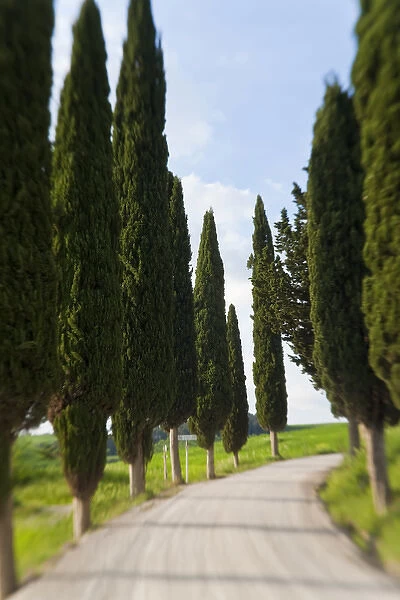Winding Road, near Pienza, Tuscany, Italy