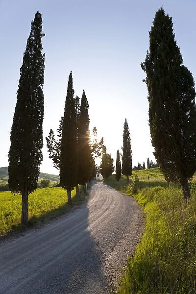 Winding road, Tuscany, Italy