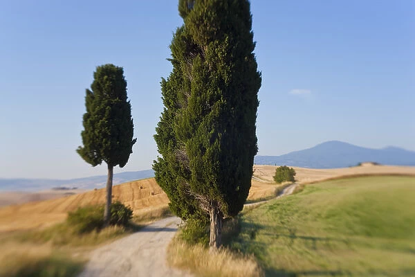 Winding road, Val d Orcia, Tuscany, Italy