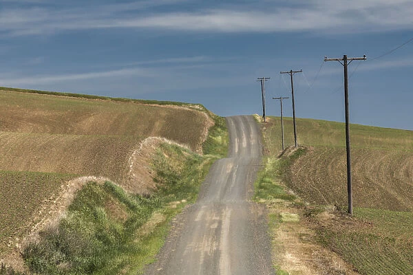 Winding rural road across rolling hills of the Palouse, eastern Washington
