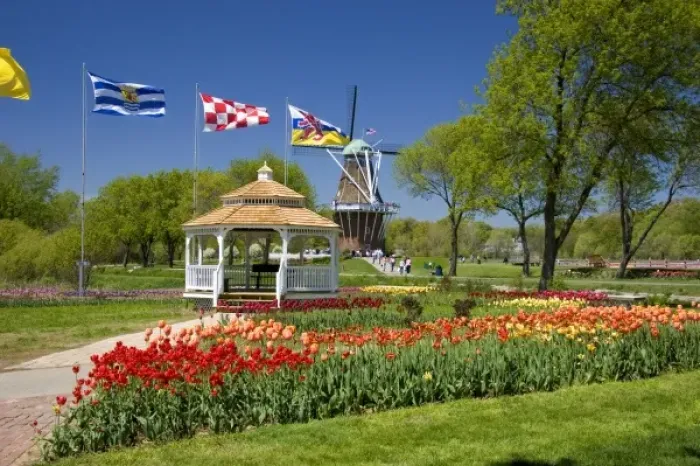 Framed Print : Windmill Island park with tulips in bloom at Holland, Michigan Framed Print : Windmill Island park with tulips in bloom at Holland, Michigan