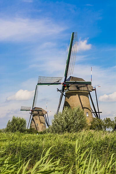 Windmill in Unesco World Heritage Site, Kinderdijk, Holland, Netherlands