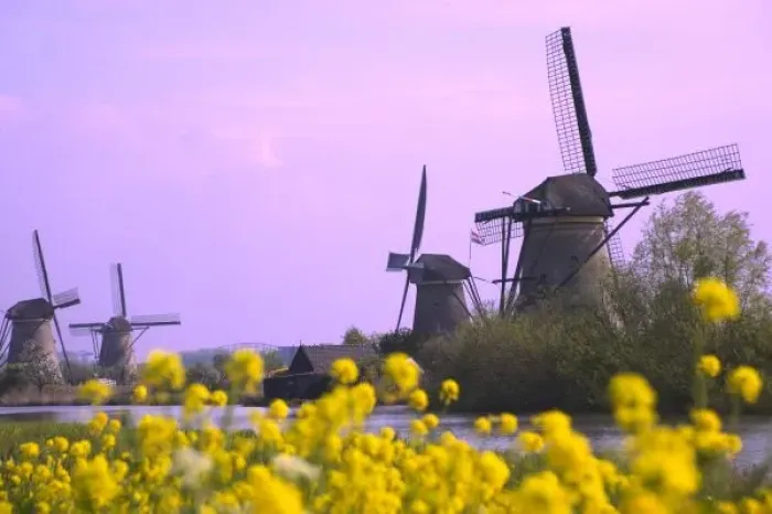 Framed Print : Windmills along
