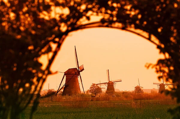 Windmills along the canal in Kinderdijk, Netherlands