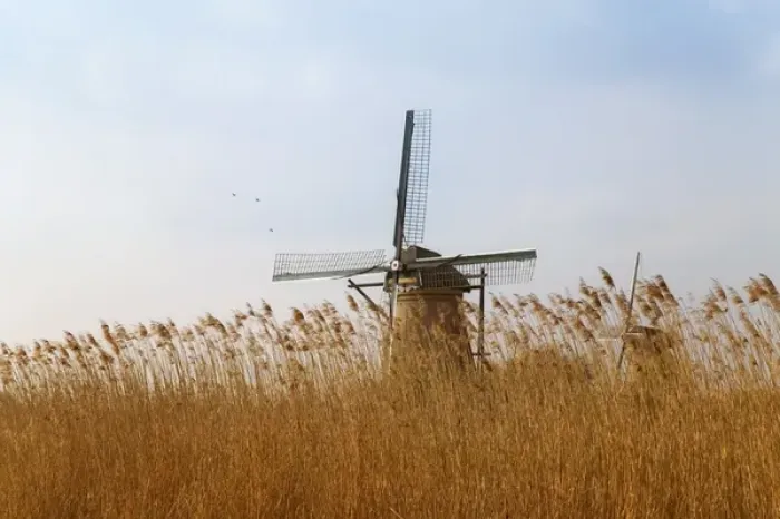 Framed Print : Windmills along the canal in Kinderdijk, Netherlands