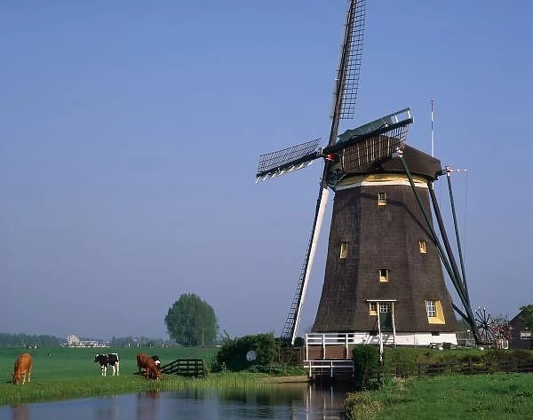 Windmills, Leidschendam, Netherlands