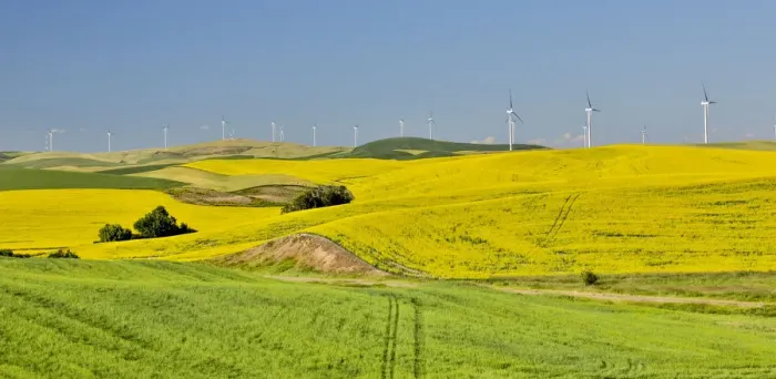 Framed Print : Windmills north of Steptoe with wheat and canola fields in foreground, Eastern Washington