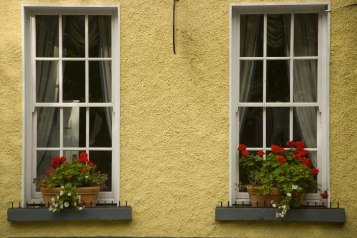 Framed Print : Window boxes, Town of Westport, County Mayo, Ireland, Windows, Flowers Framed Print : Window boxes, Town of Westport, County Mayo, Ireland, Windows, Flowers