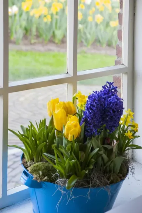 Framed Print : Window with spring flower arrangement
