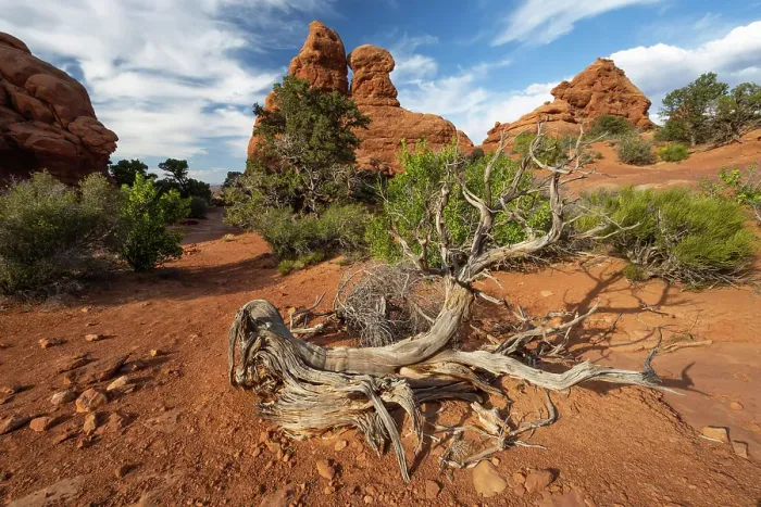 Framed Print : The Windows, Arches National Park, Utah, US Framed Print : The Windows, Arches National Park, Utah, US