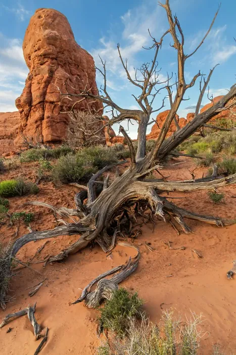 Framed Print : The Windows, Arches National Park, Utah, US Framed Print : The Windows, Arches National Park, Utah, US