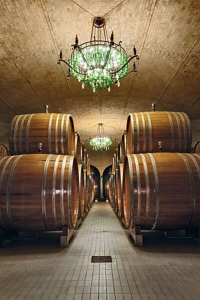 Wine Barrel room, Castle Banfi, Tuscany, Italy (Editorial Use Only)