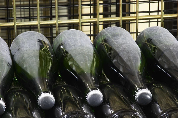 Wine Bottles of champagne resting horizontally on the side undergoing secondary fermentation