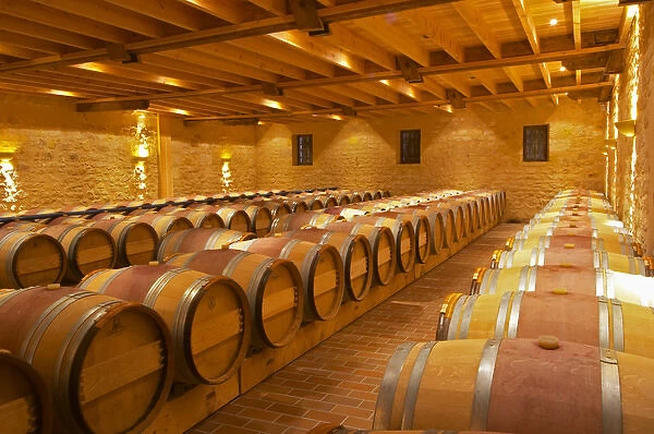 in the wine cellar: Barriques barrels - Chateau Grand Mayne, Saint Emilion, Bordeaux