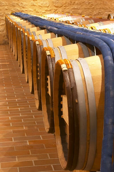in the wine cellar: Barriques barrels and pipes to pump the wine - Chateau Grand Mayne
