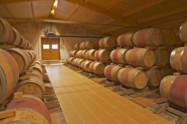 In the wine cellar, rows and stacks of new oak barrels with ageing wine Chateau Bouscaut