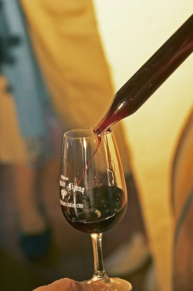 A wine sampling pipette taking a sample from a barrel and pouring in a glass - Chateau