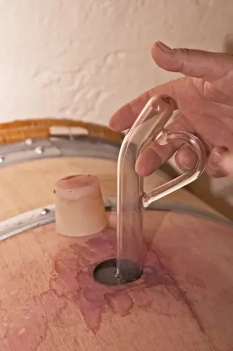 Framed Print : A wine sampling pipette taking a sample from a barrel, silicon bung plug, hand with Framed Print : A wine sampling pipette taking a sample from a barrel, silicon bung plug, hand with