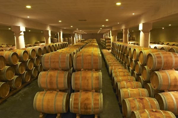 The winery, barrel aging cellar - Chateau Baron Pichon Longueville, Pauillac, Medoc