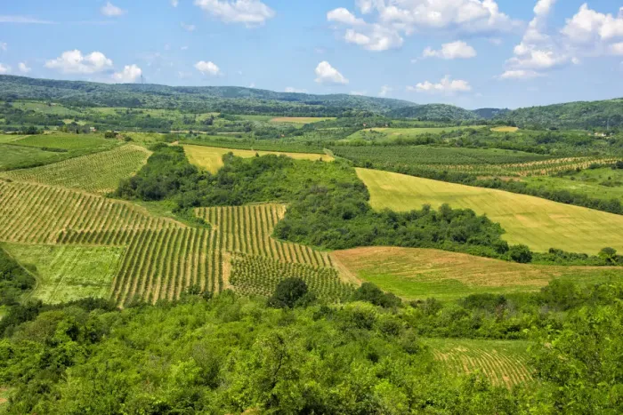Framed Print : Winery, Sremski Karlovci, Serbia