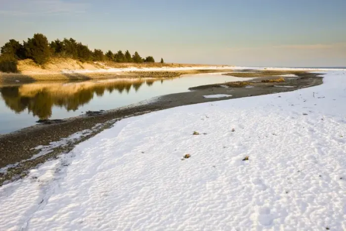Framed Print : Winter on Cape Cod Bay at the Shifting Lots Preserve in Plymouth, Massachusetts