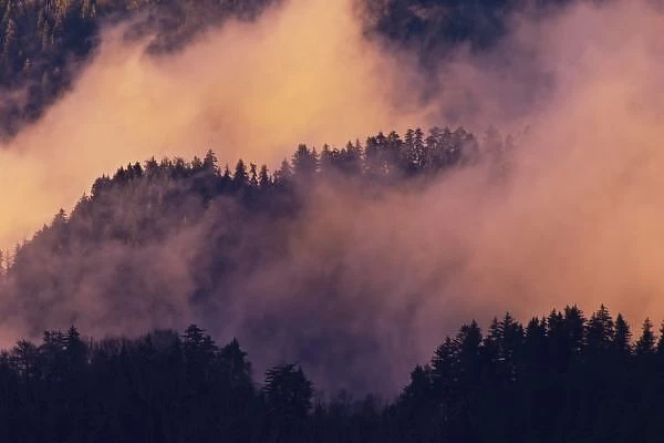 Winter fog in valley
