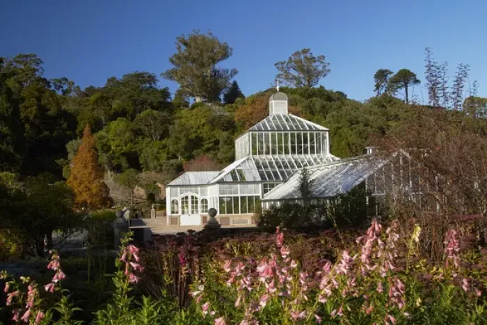 Framed Print : Winter Gardens and Flowers, Botanic Gardens, Dunedin, Otago, South Island, New Zealand