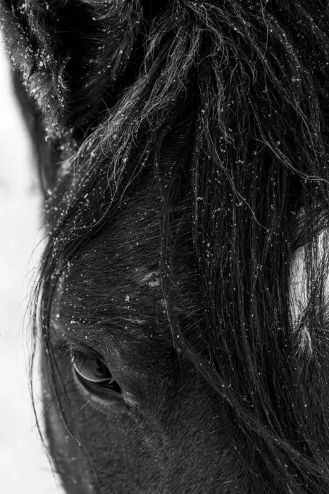Framed Print : Winter light on Mustang, New Mexico