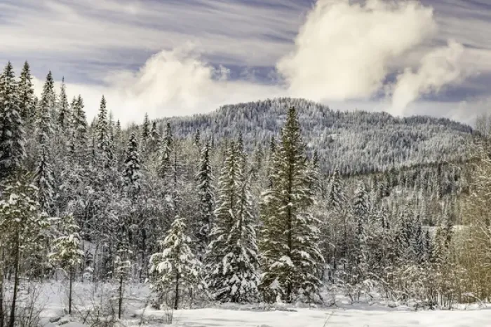 Framed Print : Winter mountain scene, Montana