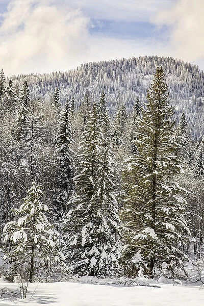 Winter mountain scene, Montana