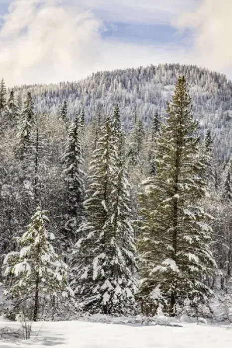 Framed Print : Winter mountain scene, Montana