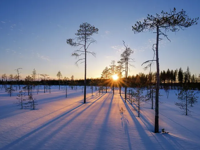 Framed Print : Winter in the Oulanka National Park in Finnish Lapland Framed Print : Winter in the Oulanka National Park in Finnish Lapland