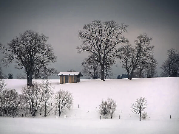 Winter scene, hill and trees, hut and forboding sky