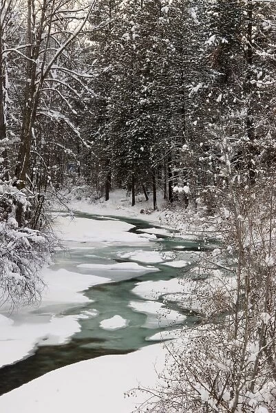 Winter Stream in Forest, Methow valley, Washington