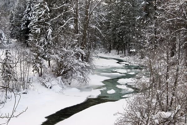 Winter Stream winding through Forest, Methow Valley, Washington