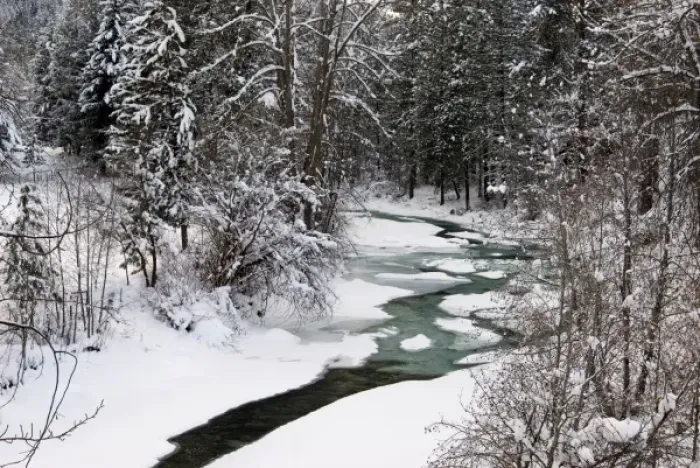 Framed Print : Winter Stream winding through Forest, Methow Valley, Washington Framed Print : Winter Stream winding through Forest, Methow Valley, Washington