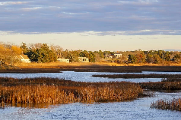 A winter view of wetlands in Barnstable, Cape Cod, Massachusetts, USA, North America