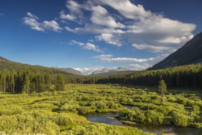Framed Print : The Wise River in the Pioneer Mountains in the Beaverhead-Deer Lodge National Forest