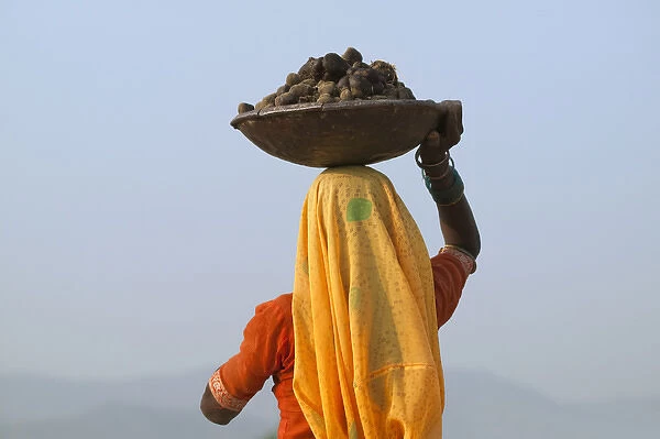 Woman carrying load on head, Pushkar, Rajasthan, India