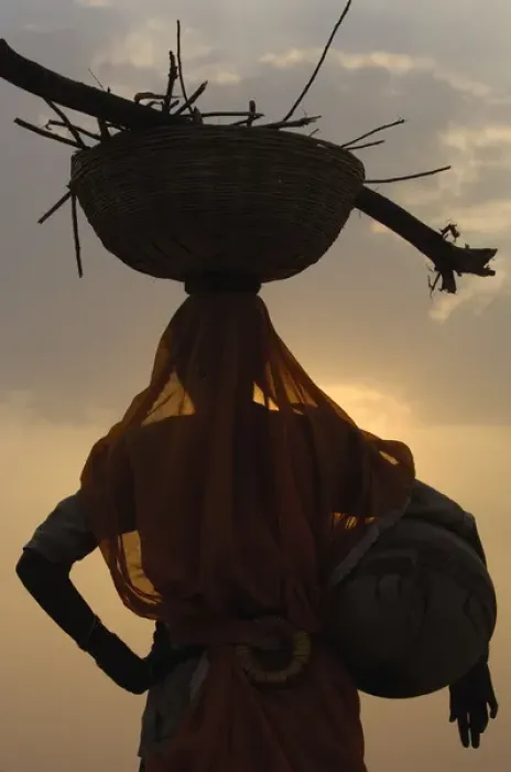 Framed Print : Woman collecting dung. Camel and cow dung are collected and dried to be used for cooking fires Framed Print : Woman collecting dung. Camel and cow dung are collected and dried to be used for cooking fires