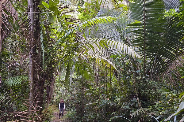 Woman in rainforest, Left- Acai Palm, right- Chapaja Palm, UNESCO Biosphere Reserve