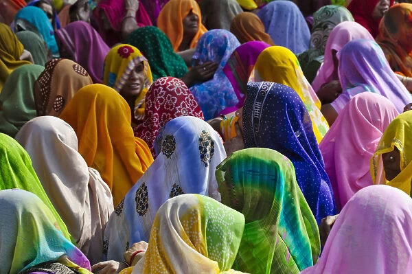 Women in colorful saris gather together, Jhalawar, Rajasthan, India