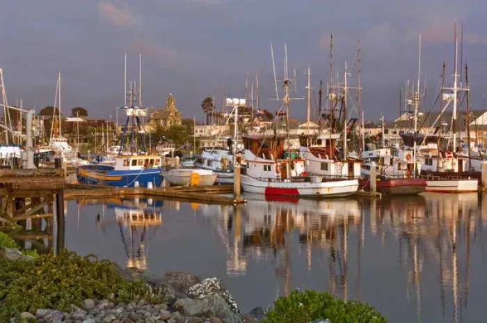 Framed Print : Woodby Island Marina Framed Print : Woodby Island Marina